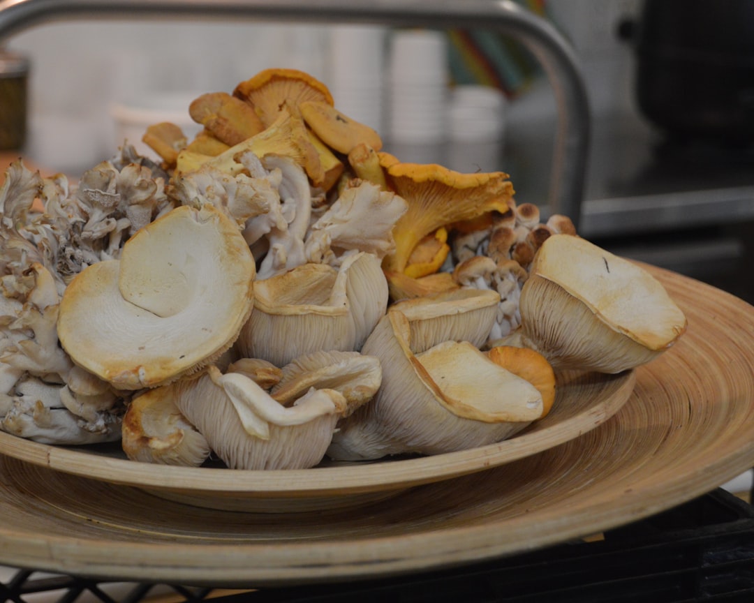 white and brown mushrooms on brown ceramic bowl