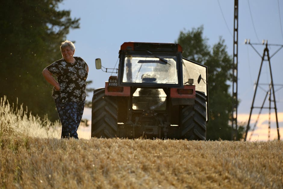 Elderly woman in floral dress walking by a tractor in a serene sunset farm field.
